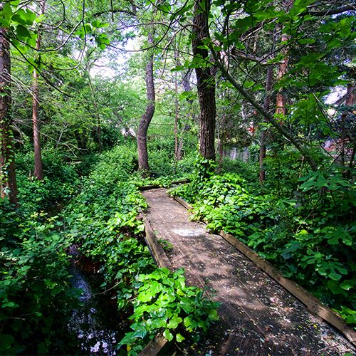 Hidden Gems & Local Favorites