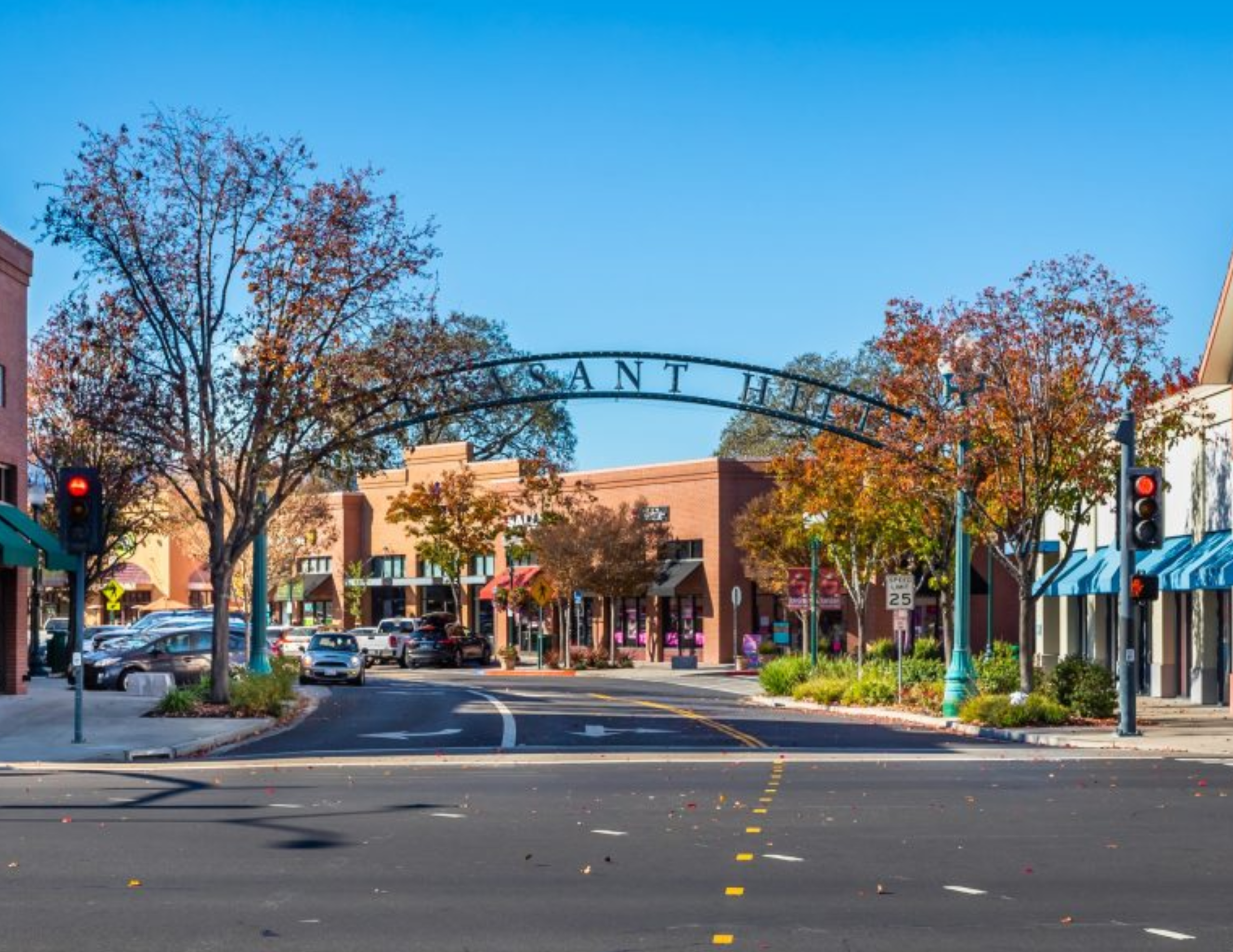 Hidden Gems & Local Favorites