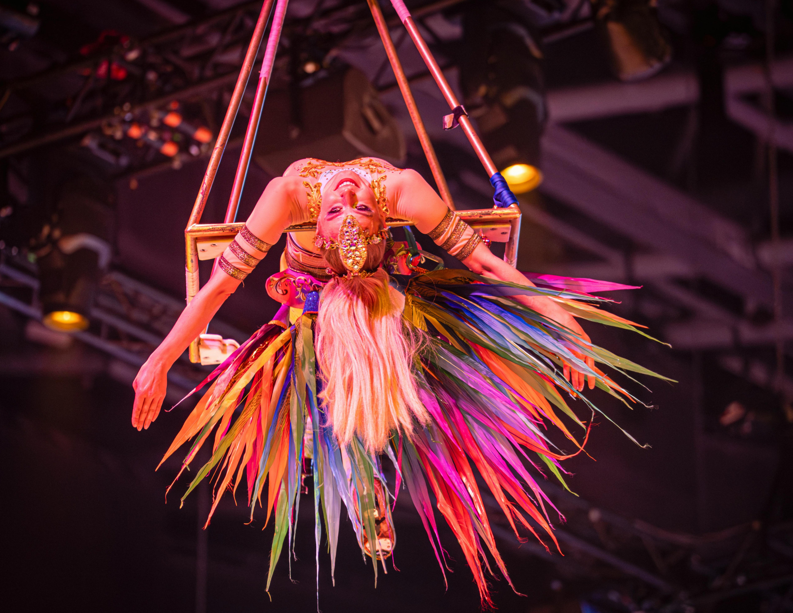 Theater shows and live performances