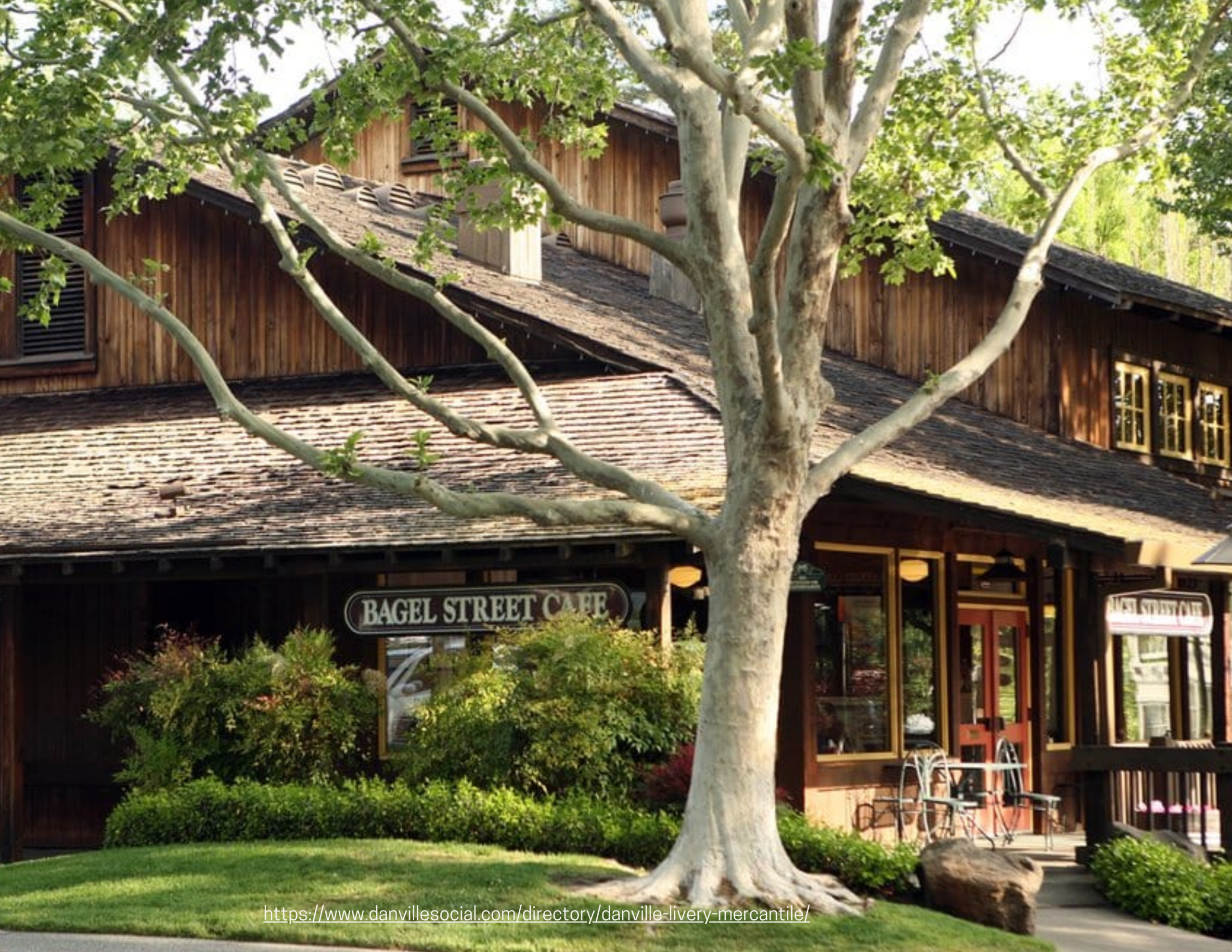 Unique Shopping Experience