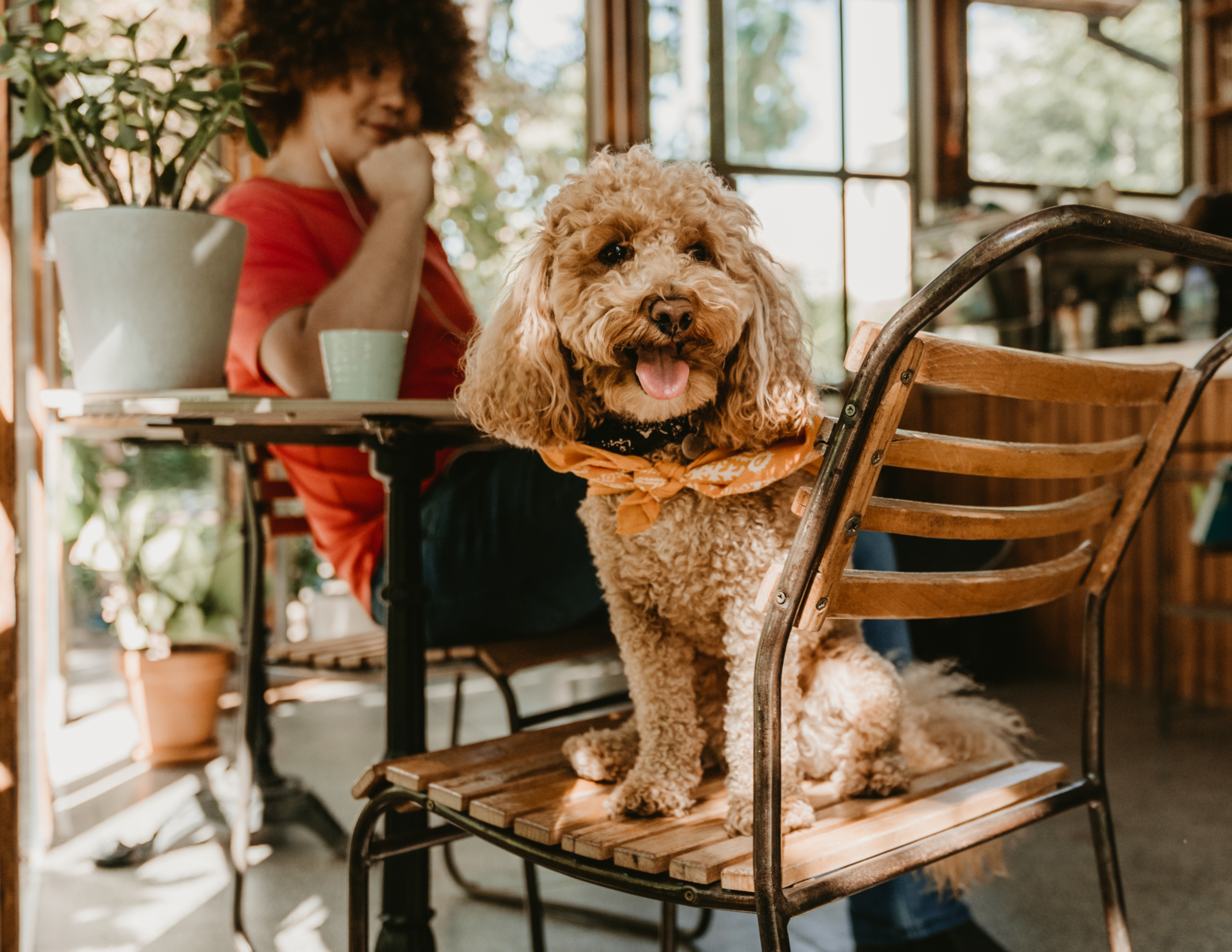 Still unsure where to start? 